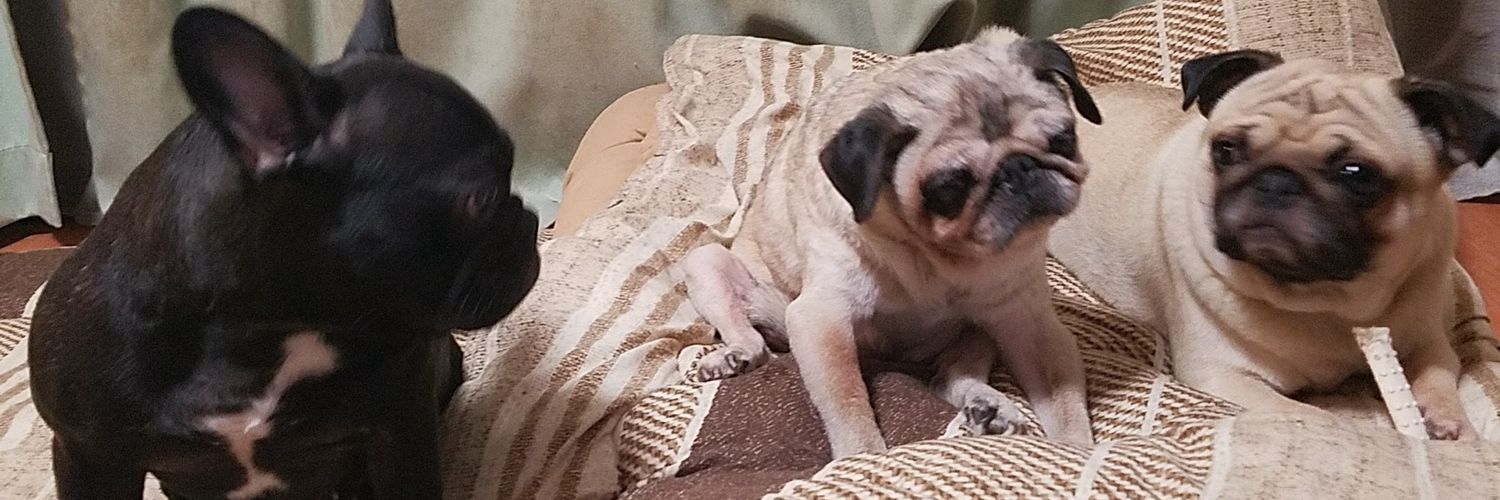 pugGSX's profile banner image