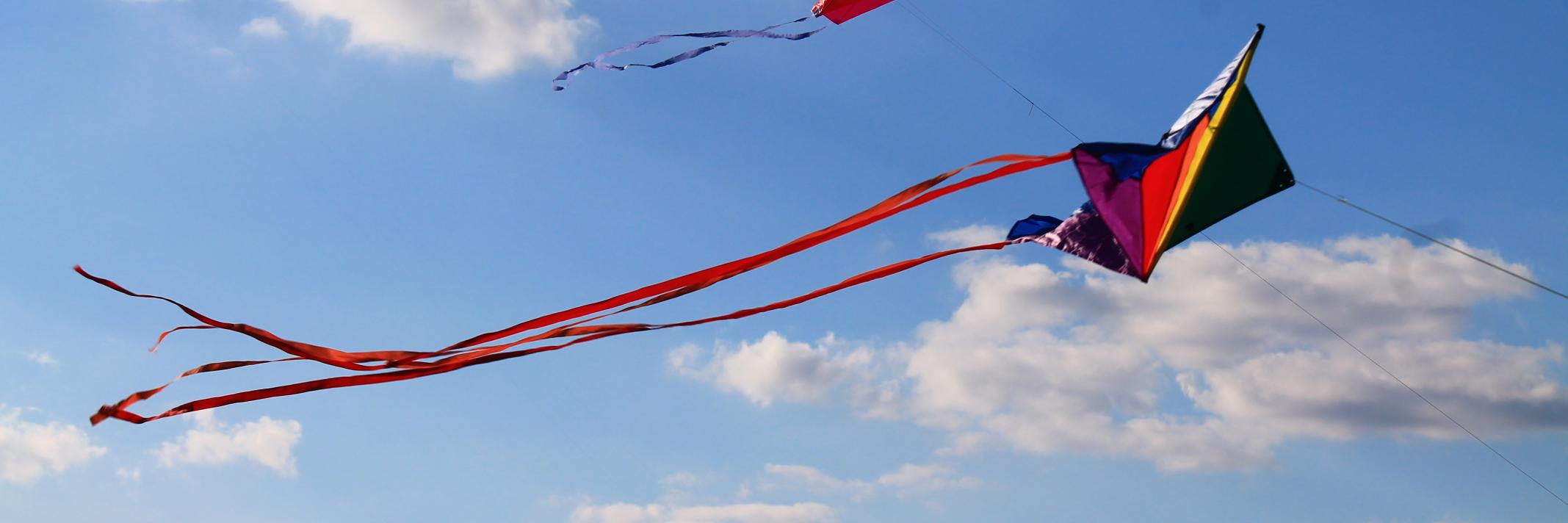 GialloSassi's profile banner image