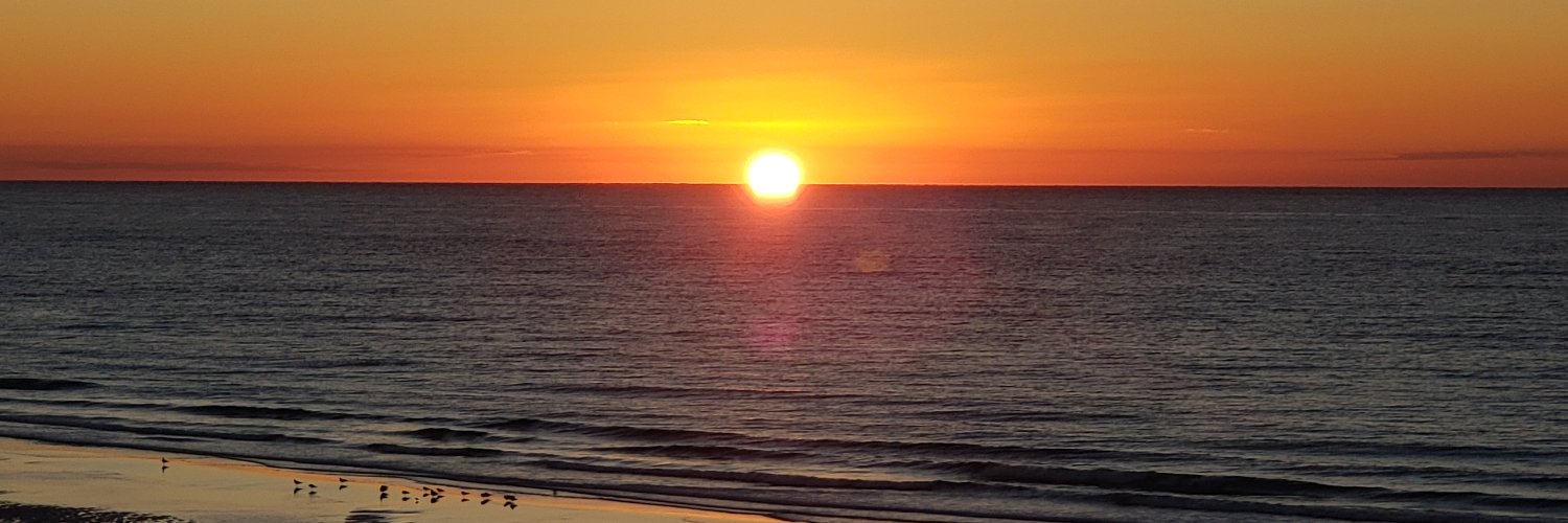Mermaid_Tamer's profile banner image