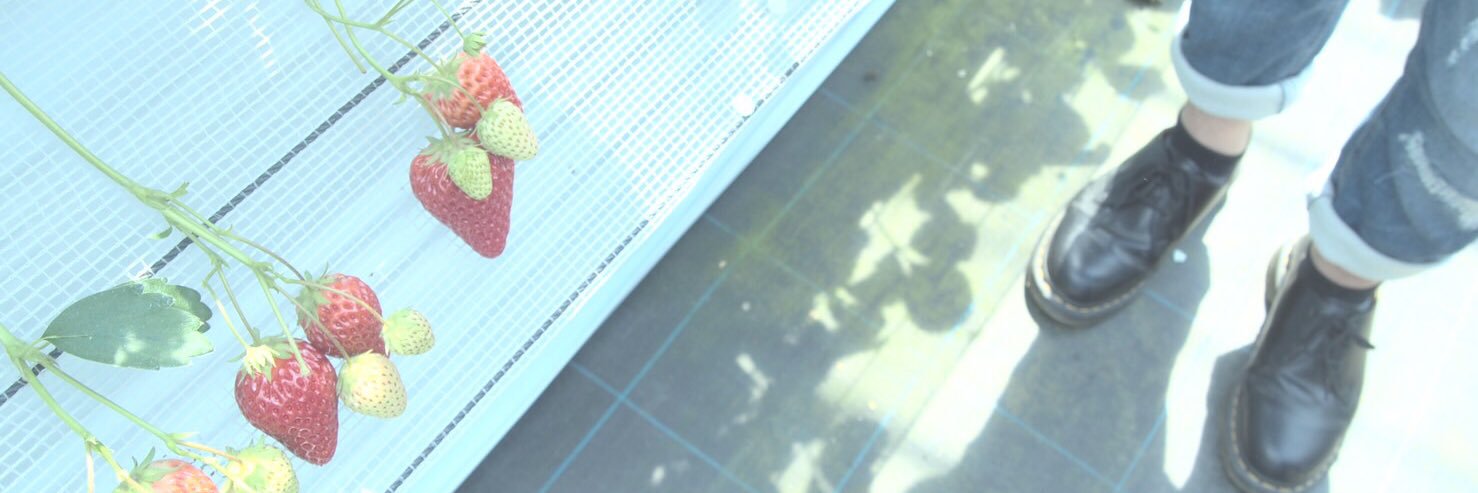 acepiece21's profile banner image