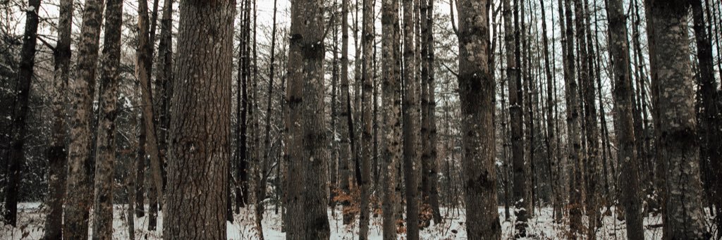 LukeRyenDavis's profile banner image