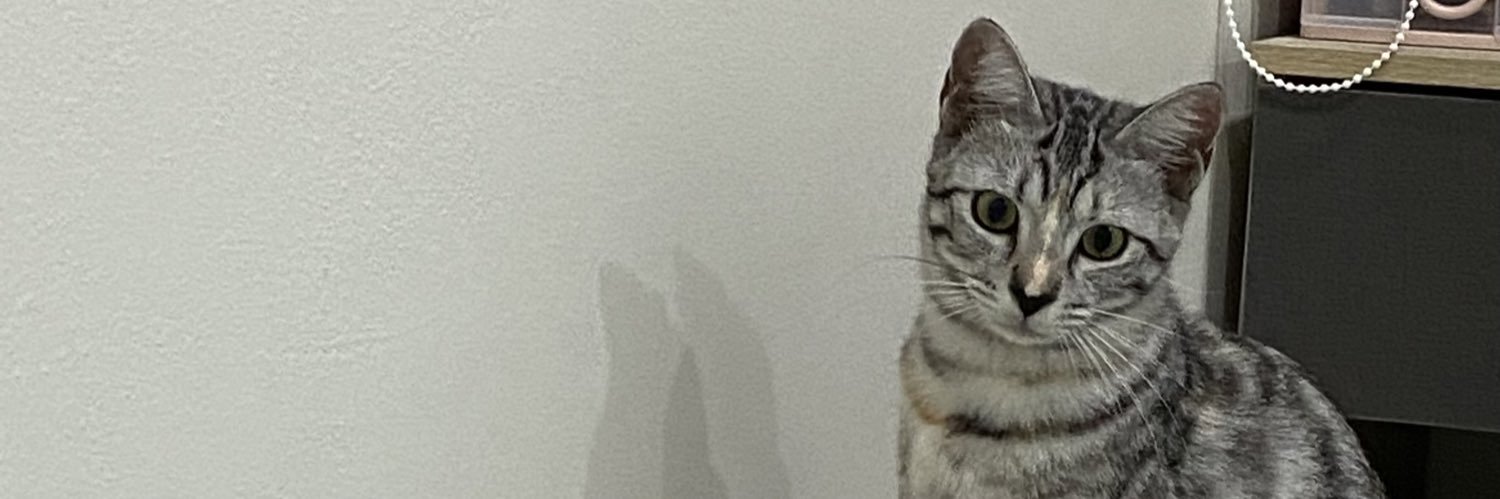 shabumeaw's profile banner image