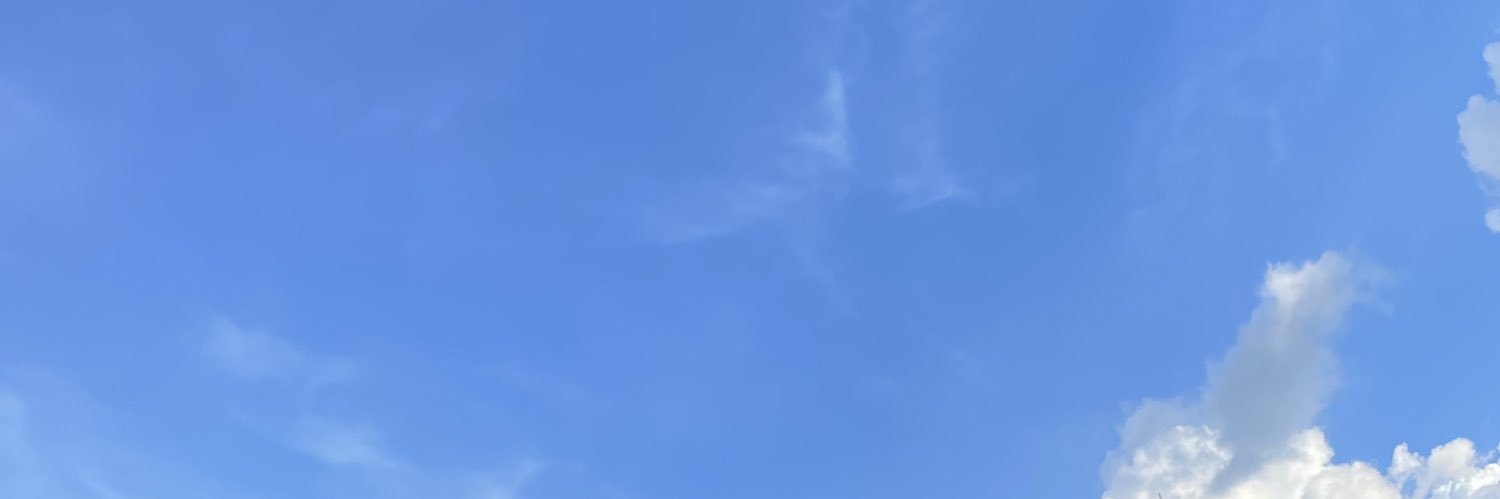 BingxingL's profile banner image