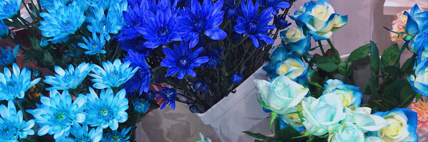 ntoup004's profile banner image