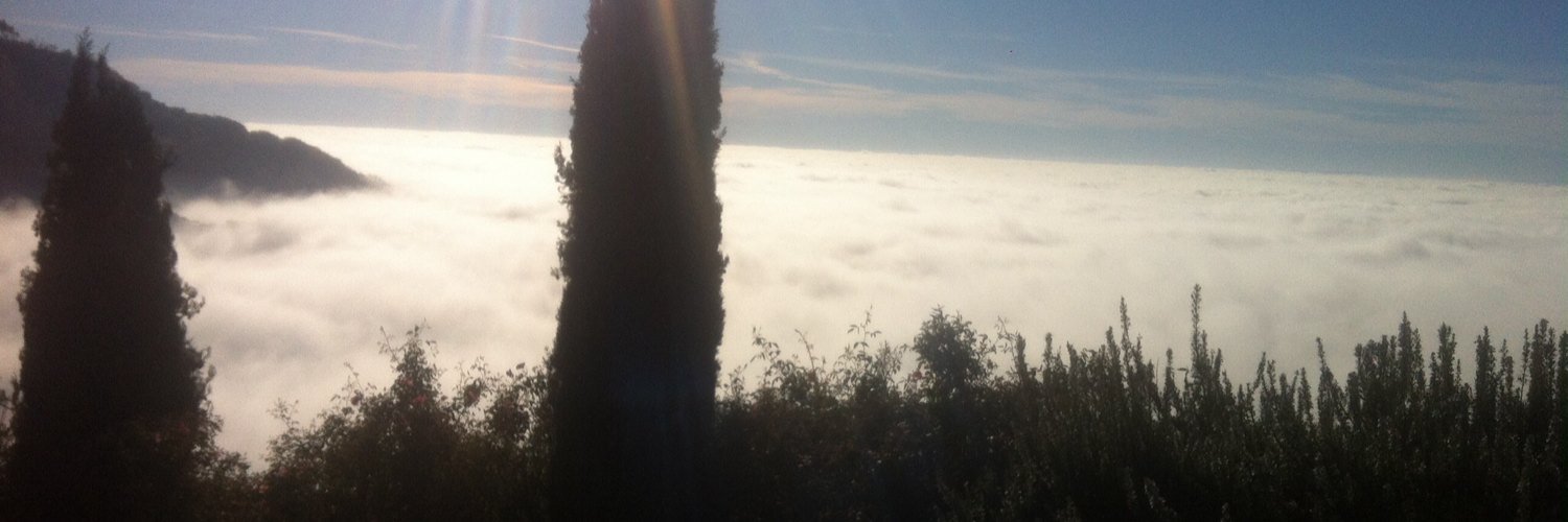 trinci67's profile banner image