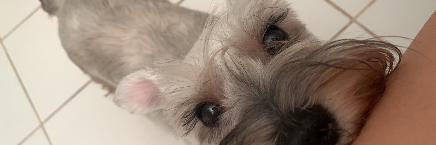 baleriacg's profile banner image