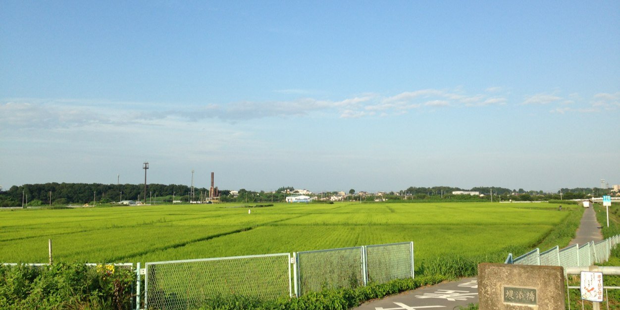 mitamytaro's profile banner image