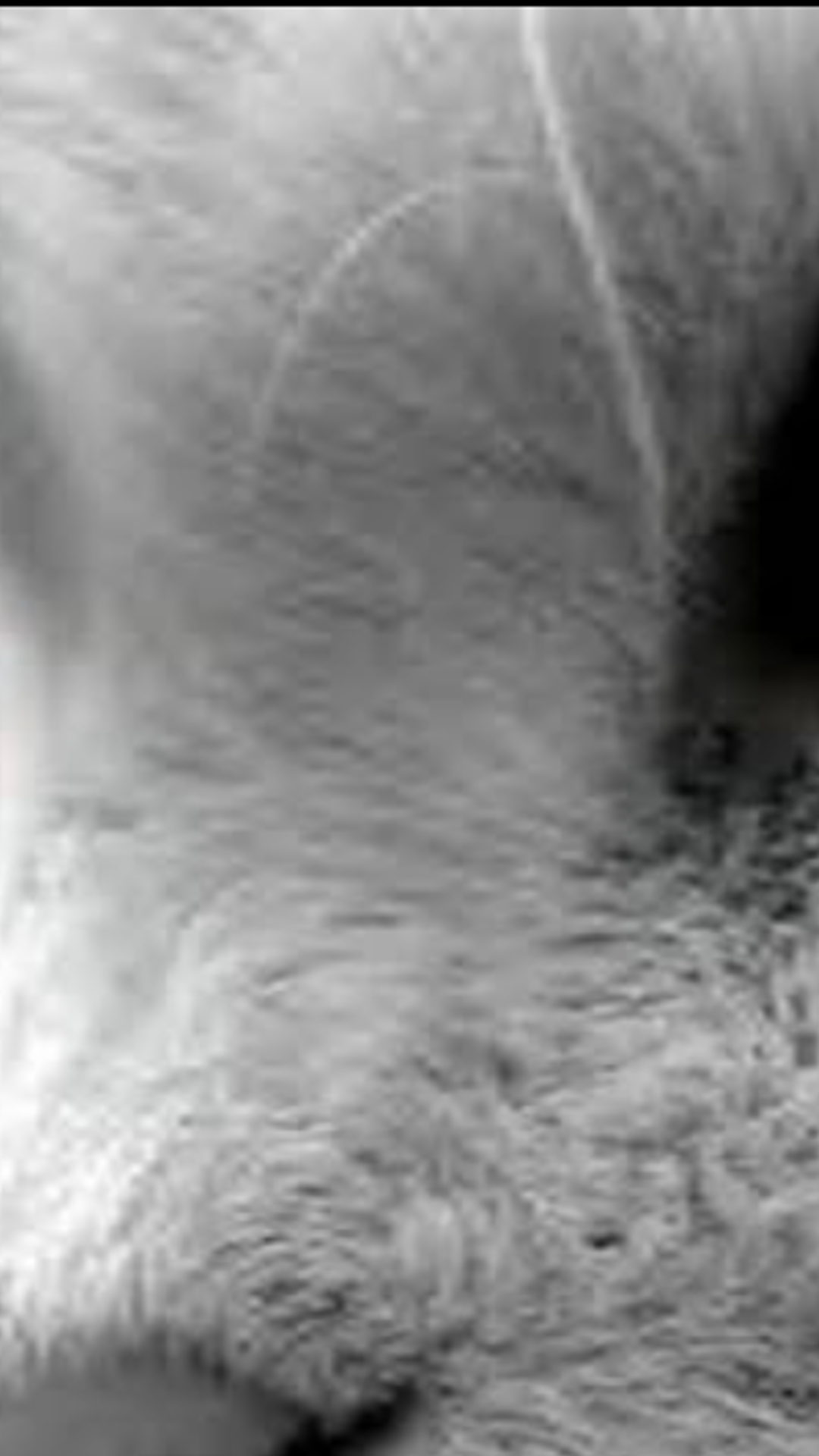 t_f_4824's profile banner image