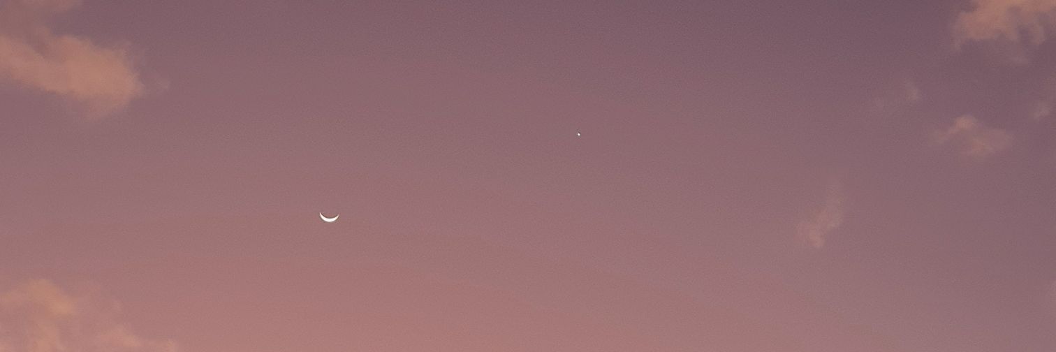 iamtrann's profile banner image