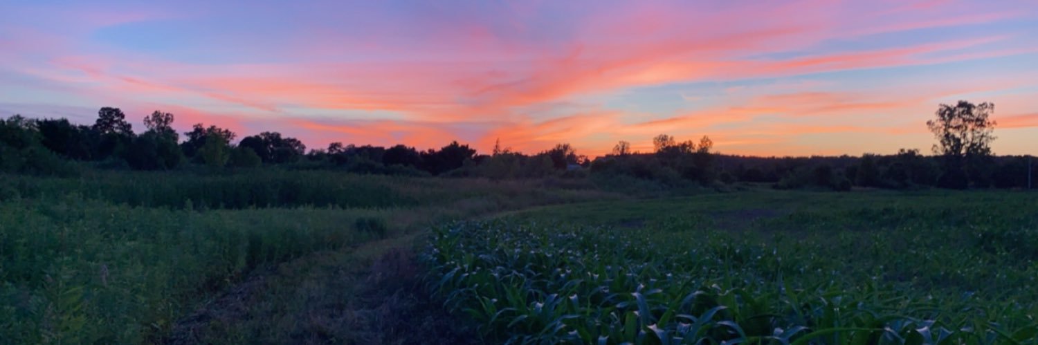 fishere31's profile banner image