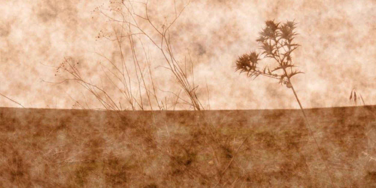DaveCurleyMusic's profile banner image