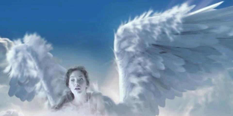 e_rosd's profile banner image