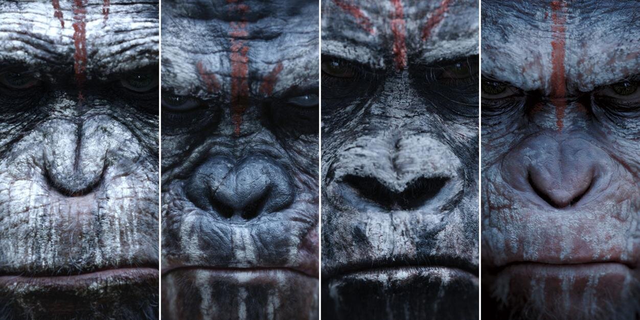 _angrymonkey's profile banner image