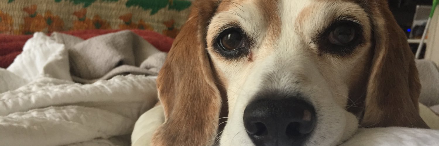 sarahgilb_'s profile banner image
