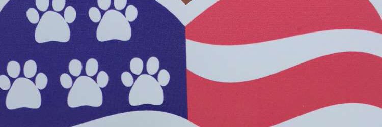 armiller_5's profile banner image