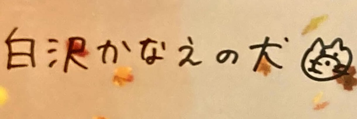 安全ピン@🐹常連さん🌷 banner