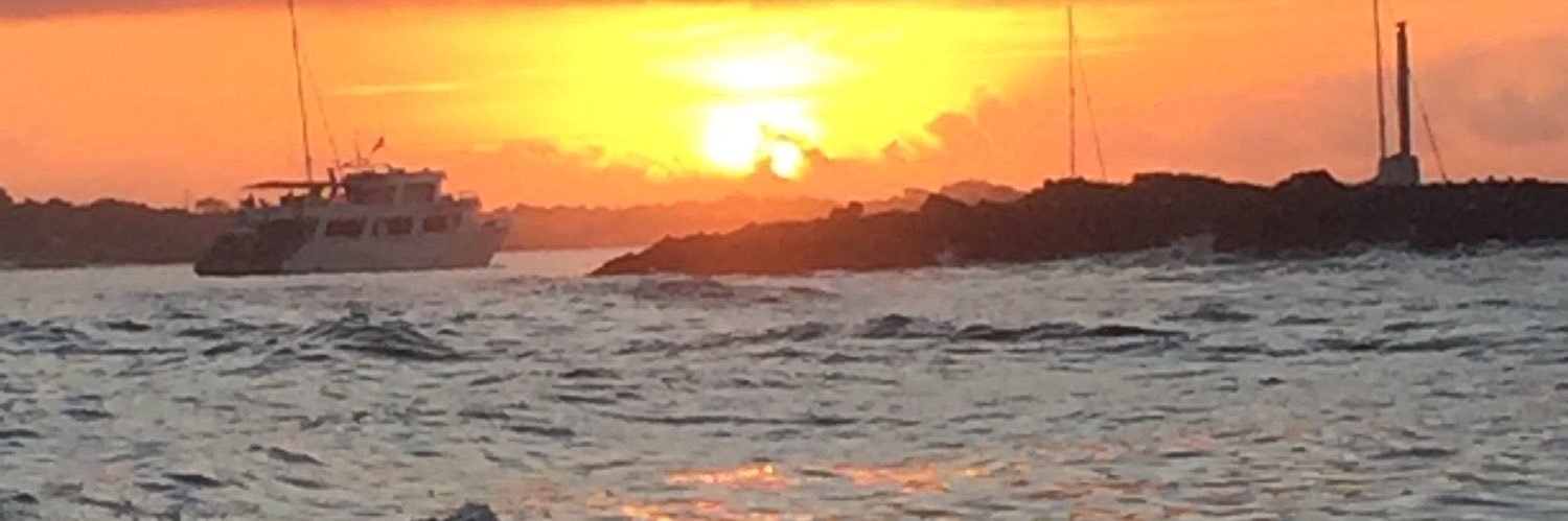 pepone_loro's profile banner image