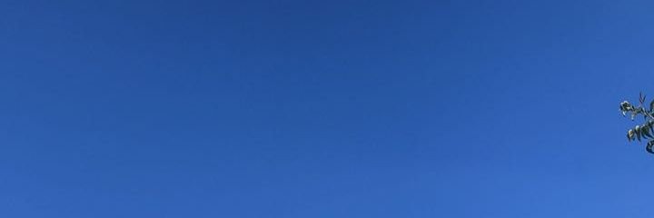 Carolina. banner