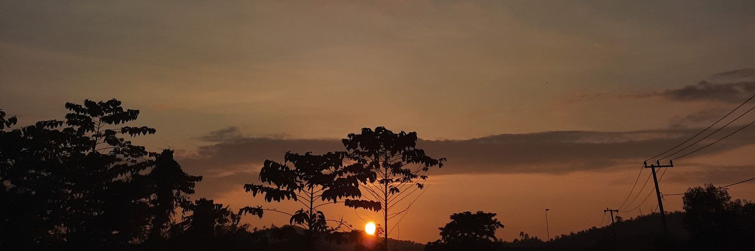 Rindatys's profile banner image