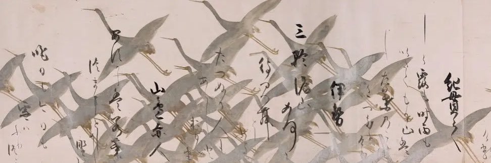 _taliaxx's profile banner image