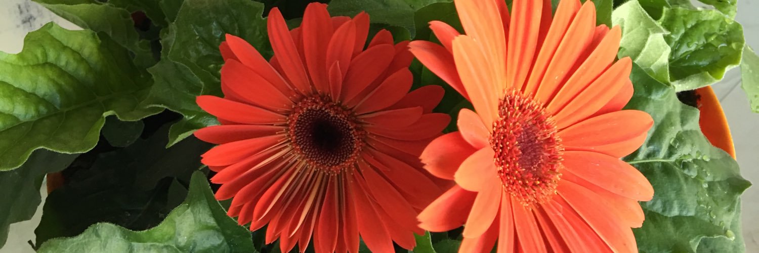 tabbott67's profile banner image