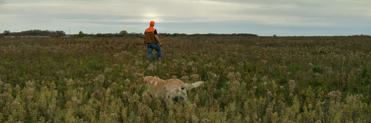 Scootwald69ed's profile banner image