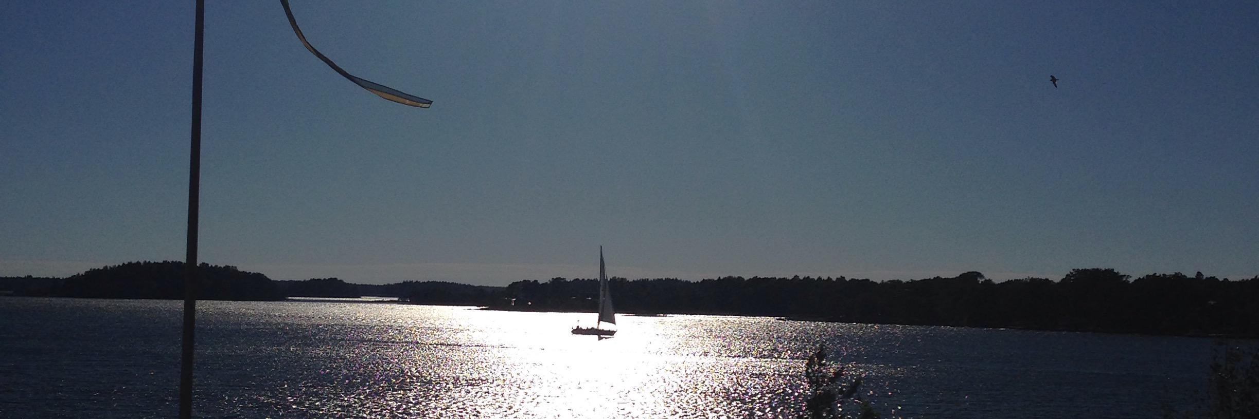 Marianne Adams banner