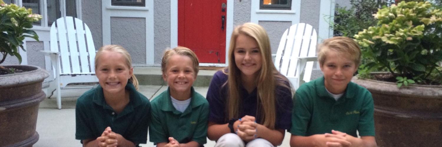 Amy Gallagher banner