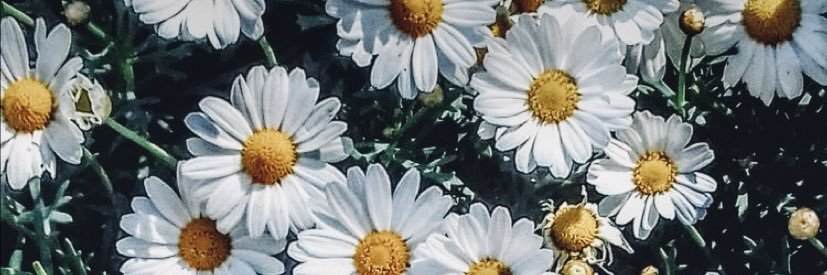 claraa_b's profile banner image
