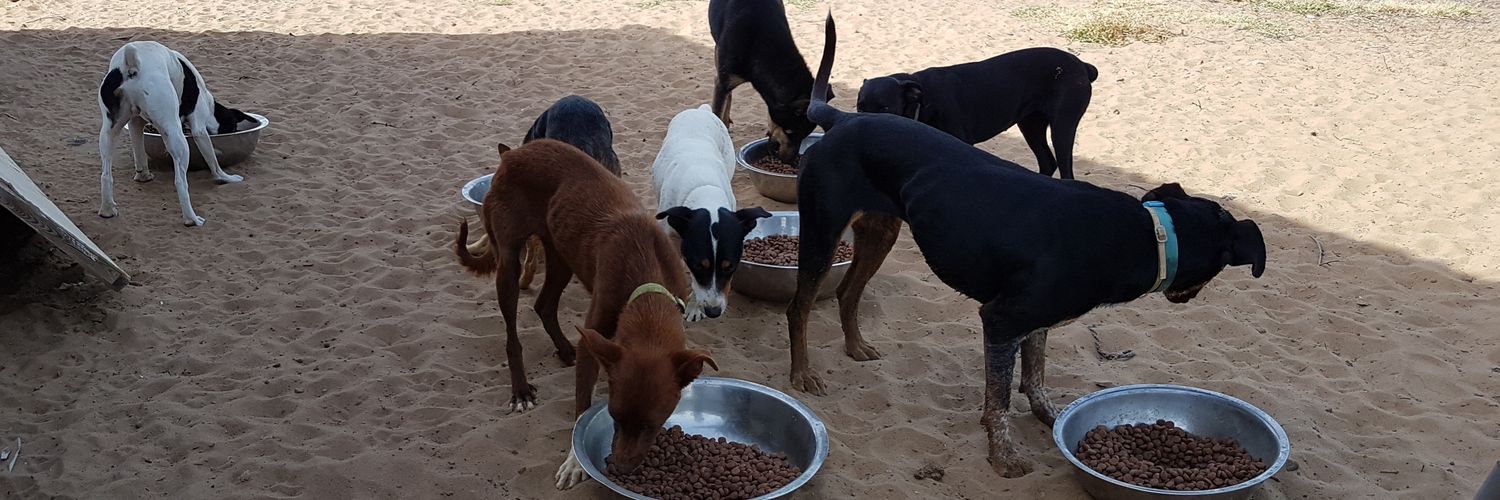 EL AMPARO DEL SUR banner