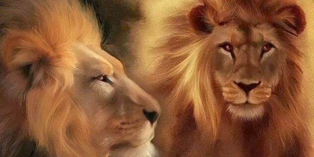 lrtrotter's profile banner image