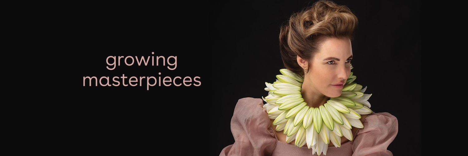Dutchlilymaster's profile banner image