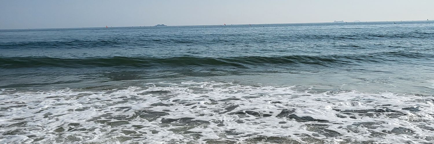 qqkorbear's profile banner image