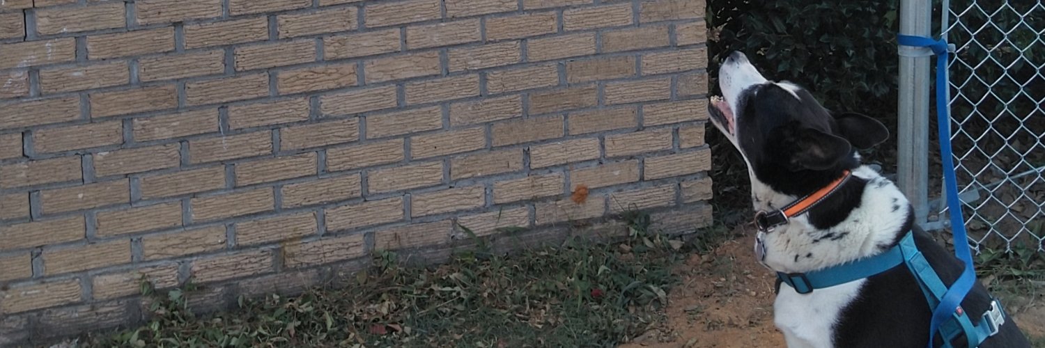 sfc_geddy's profile banner image