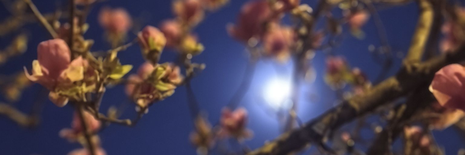 EricaGreen39's profile banner image