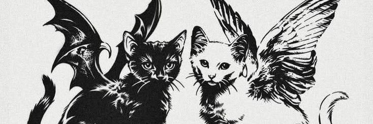 _amanda6669's profile banner image