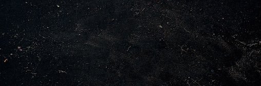 raeann___'s profile banner image