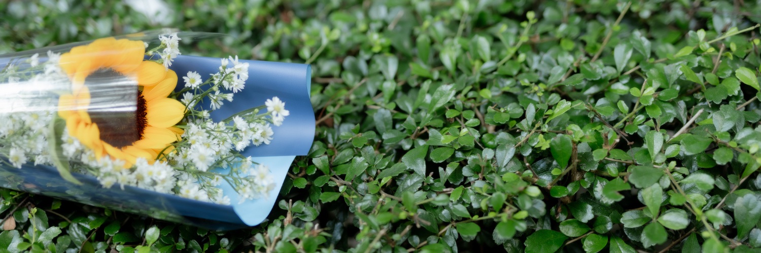 เลขที่ศูนย์ | No.0 banner