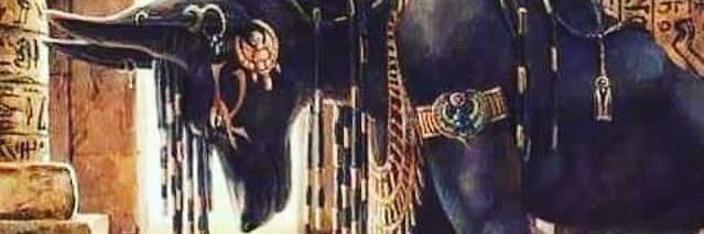 NikeFlyLoudHigh's profile banner image