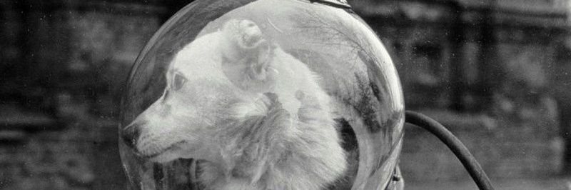 aloptico's profile banner image
