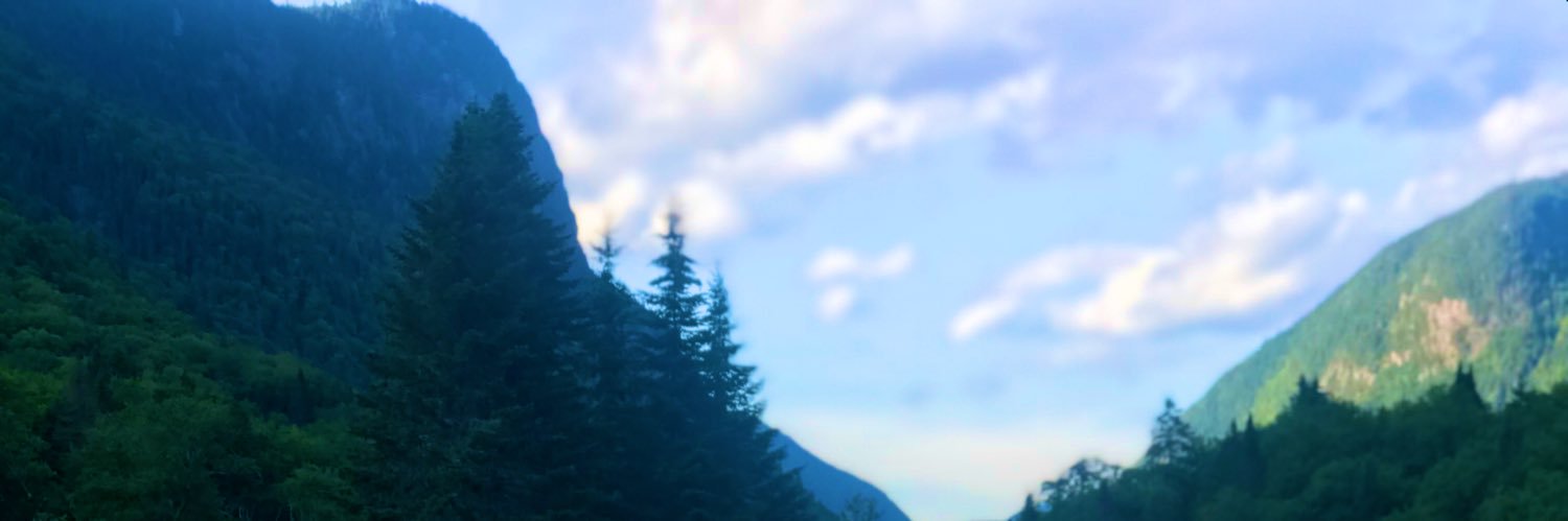 Taylor Thomas banner