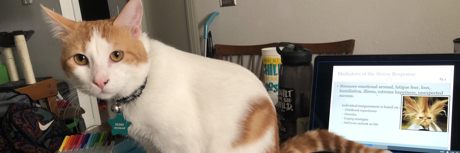 cmarshhhhh's profile banner image