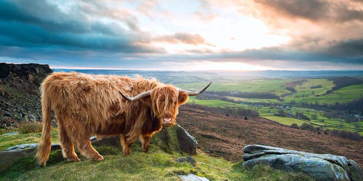 joebirch151's profile banner image