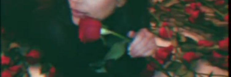felmarinelli's profile banner image