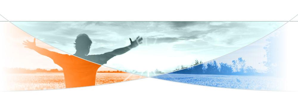 DiVetro banner
