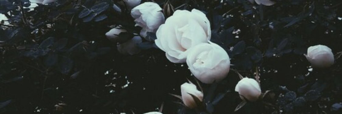 __dewiiii's profile banner image