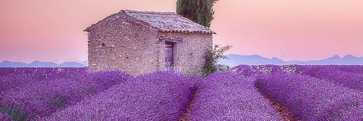 karwa_sacha's profile banner image