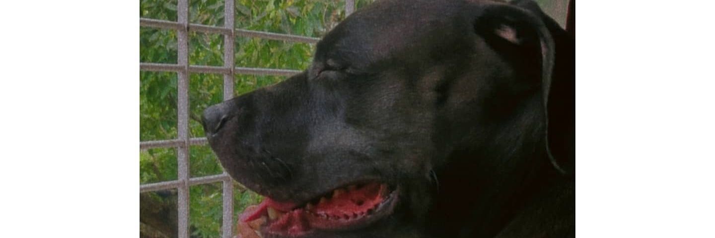 MilburnLawrence's profile banner image