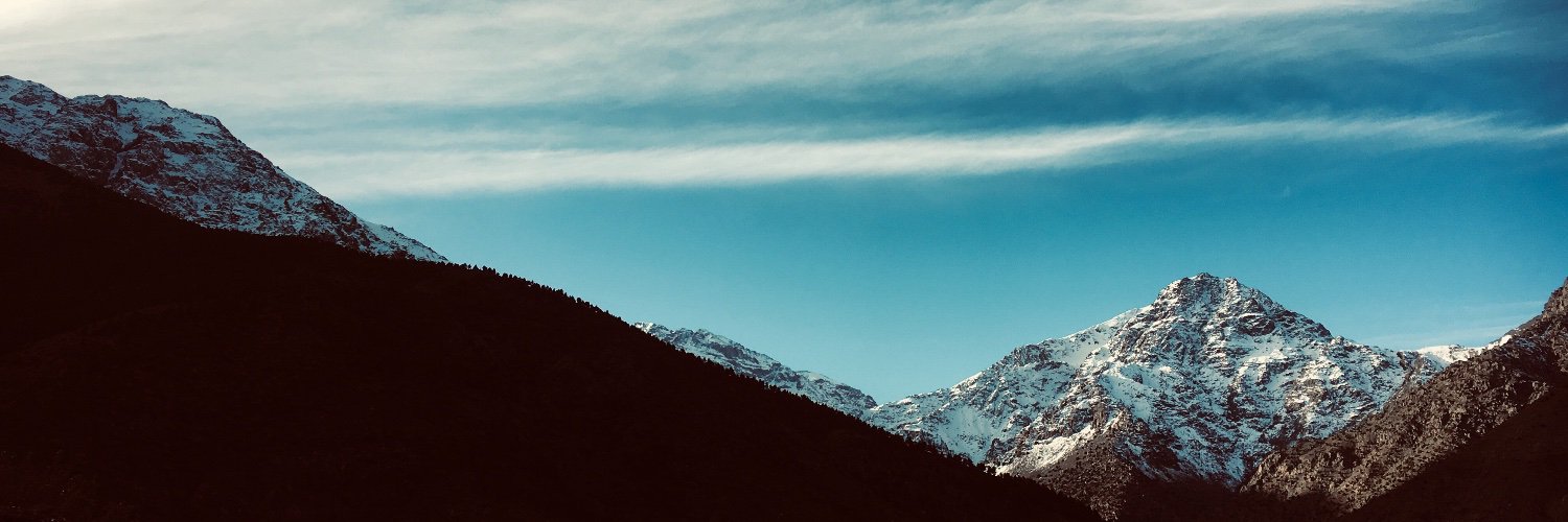 Nikita Shrubs banner