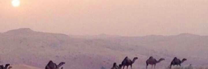 abdullah_roqi4's profile banner image
